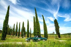 Umbria Umbria