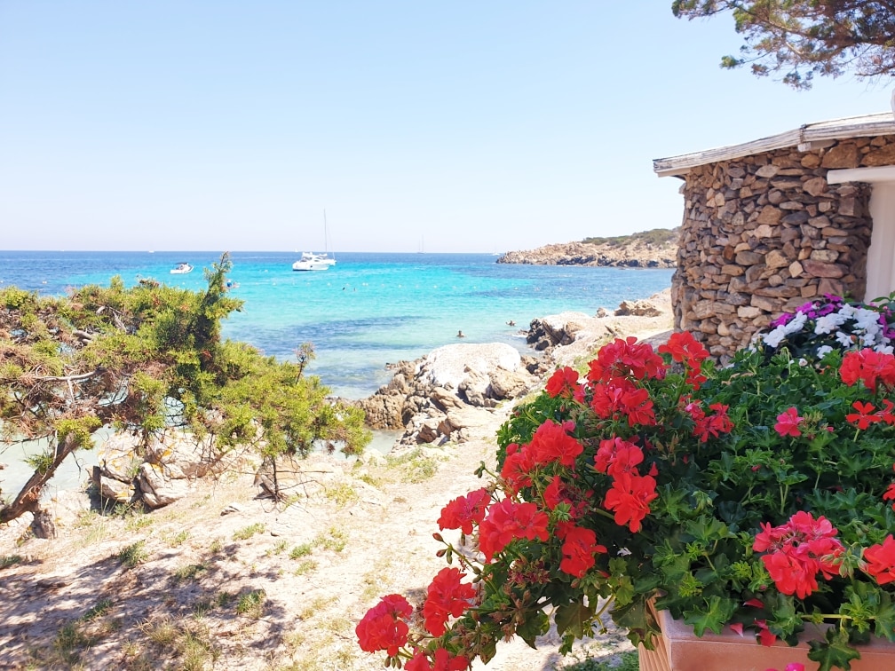 Vacanze 2020: Cala Granu, Costa Smeralda