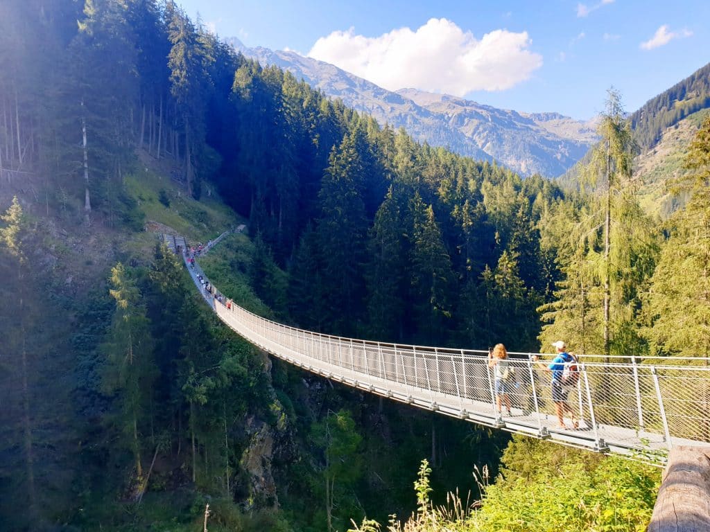 Trentino - Ponte tibetano in Val di Rabbi