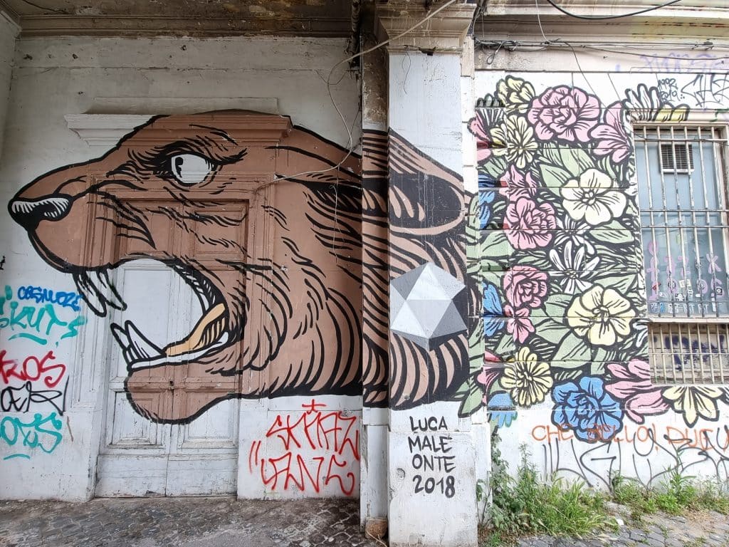 Street art - Giaguaro con con i fiori di Lucamaleonte