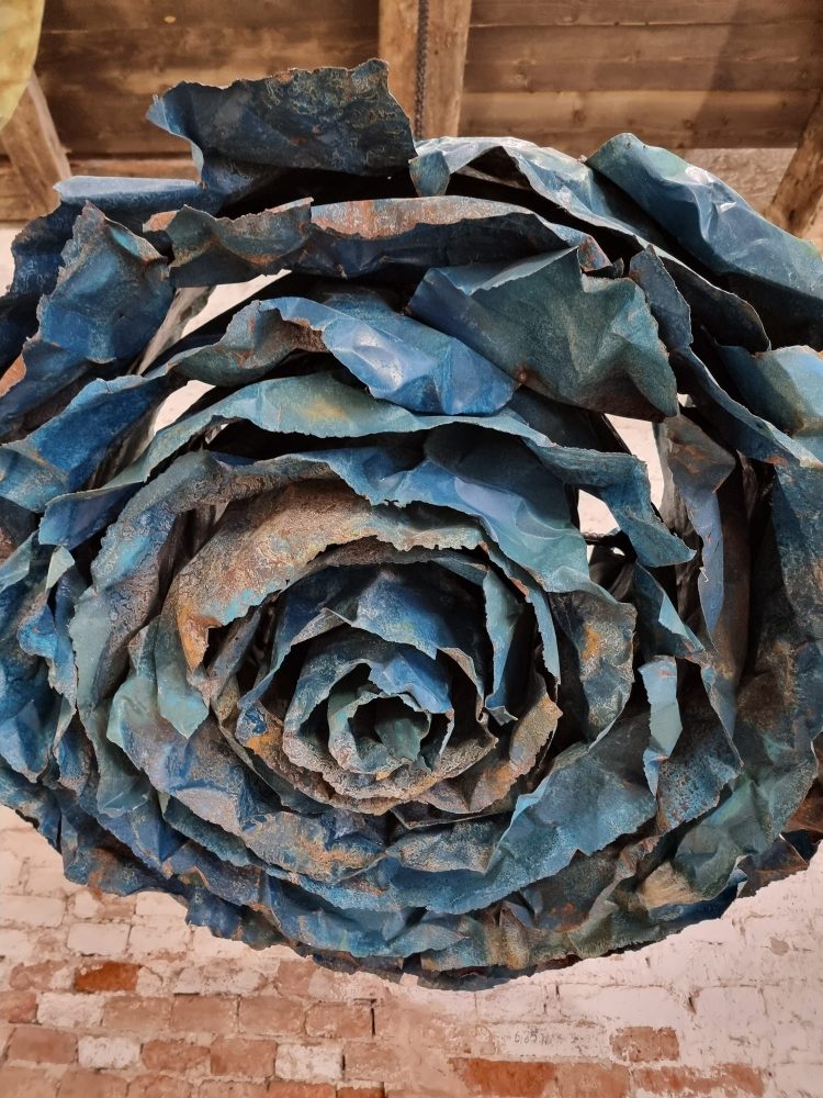 Le rose giganti di Francesca Leone