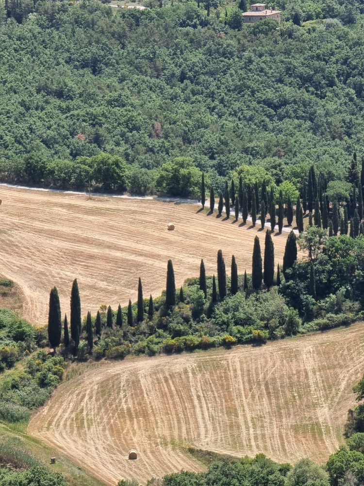 Monteverdi Tuscany