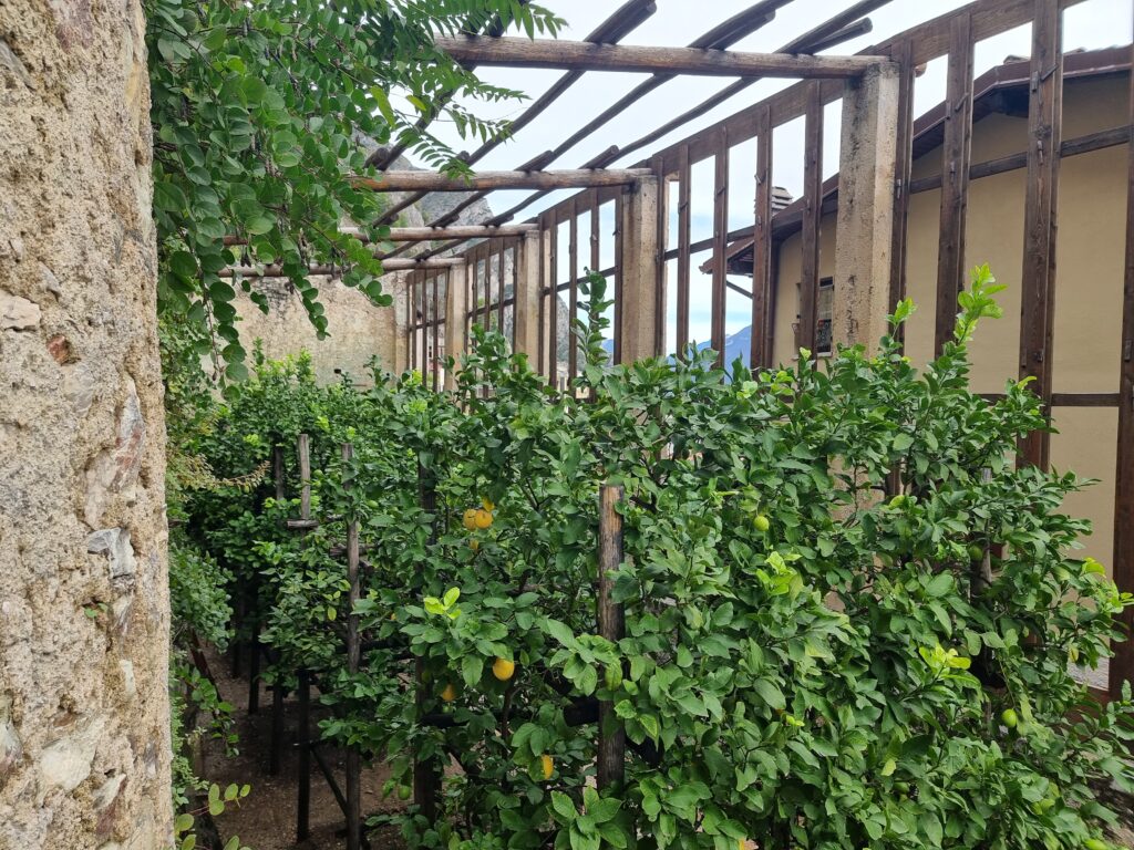 Limonaia del Castel a Limone sul Garda