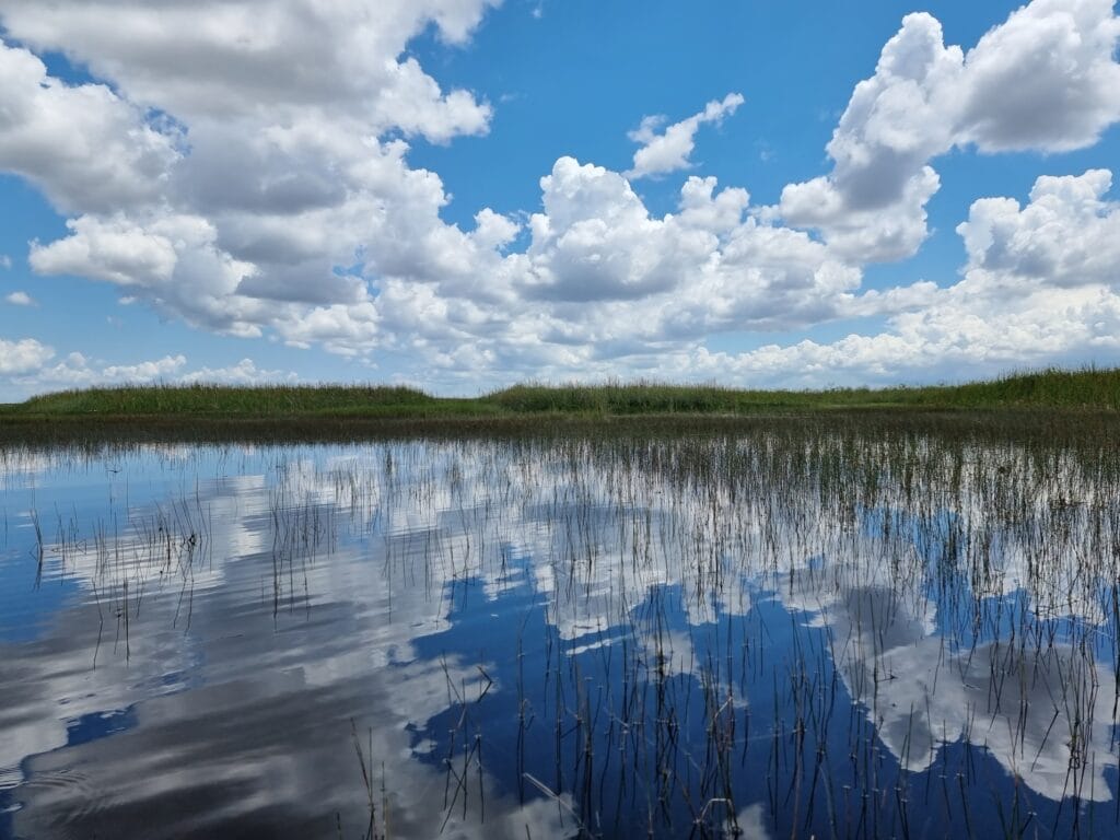 Le paludi Everglades fuori Miami