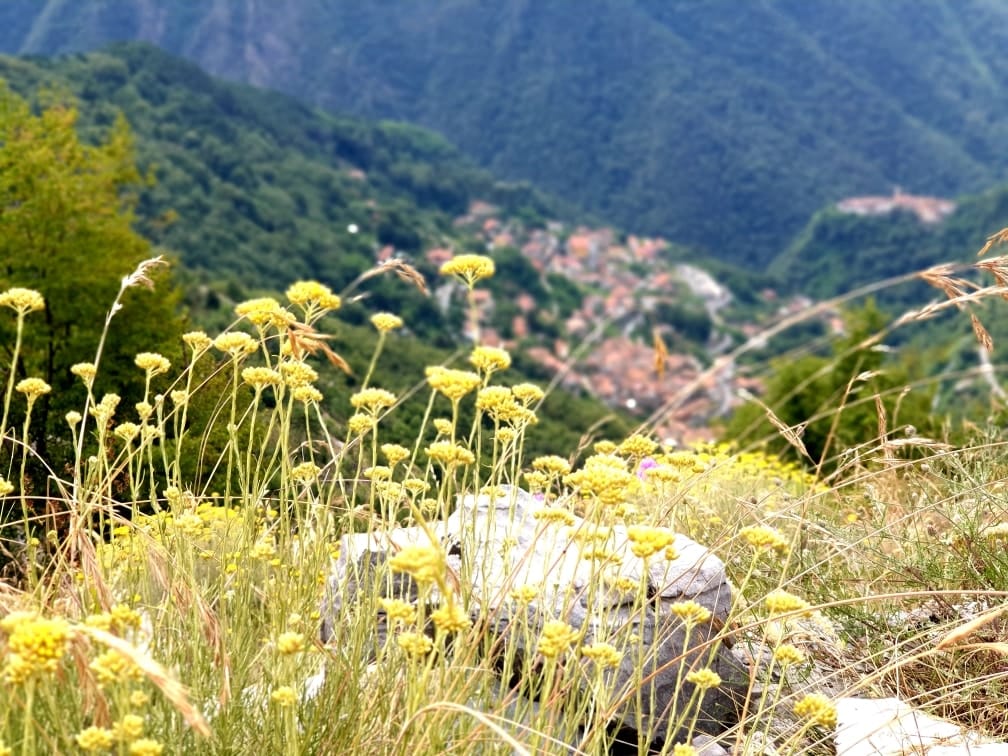 Carrara - Alpi Apuane