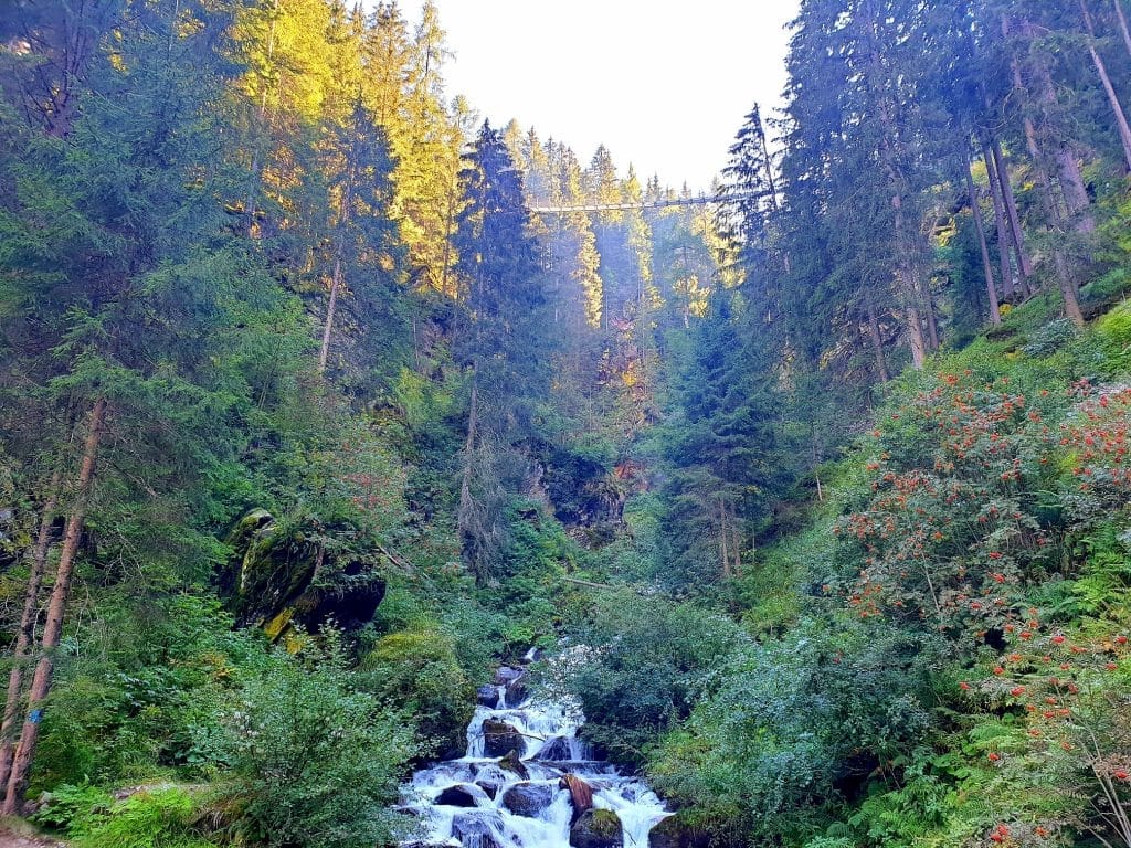 Trentino - Val di Rabbi
