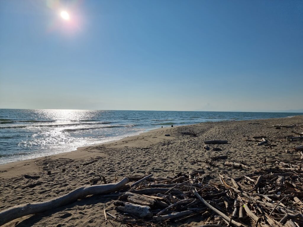 Terre di Pisa: la spiaggia della Tenuta di San Rossore