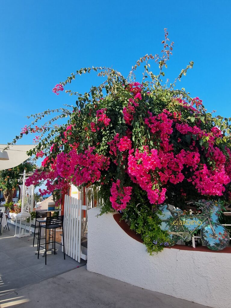 Ristorante Il Giardino a Ventotene