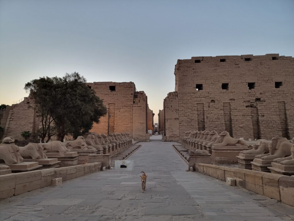Karnak: il viale delle Sfingi all'alba
