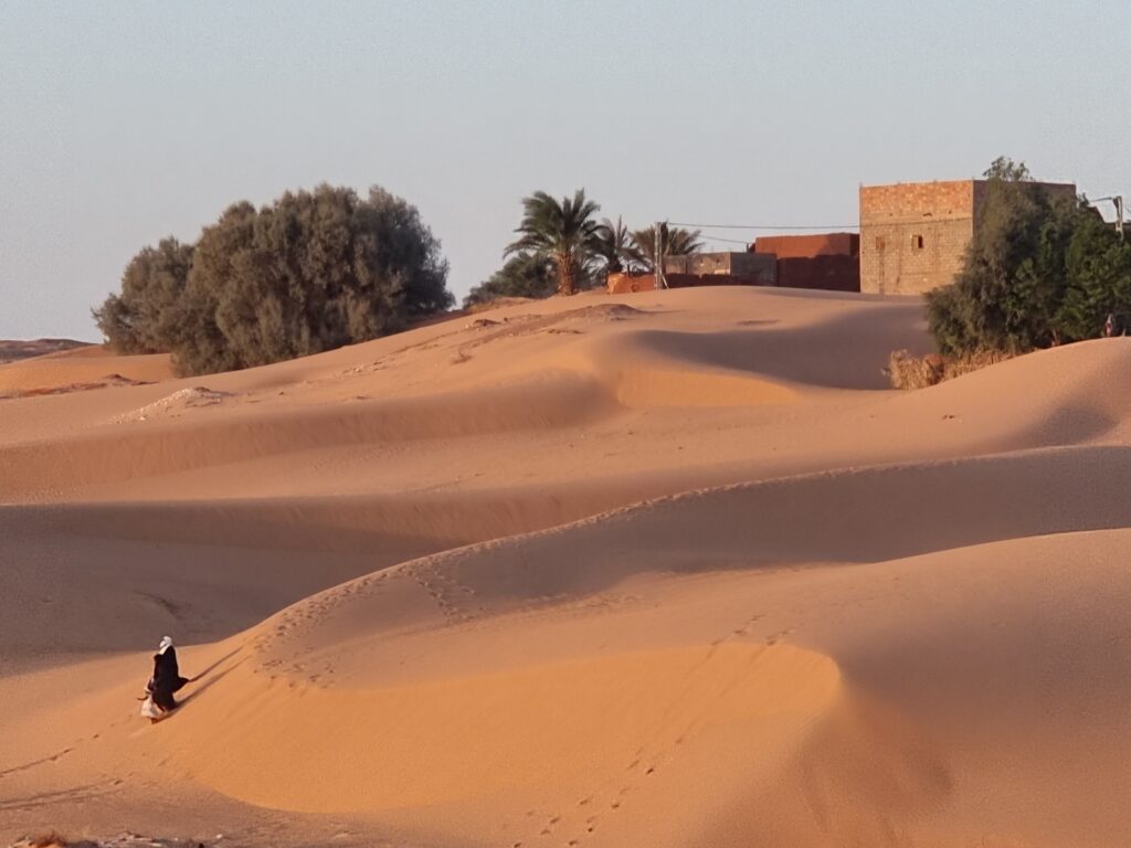 Il deserto a Timimoun