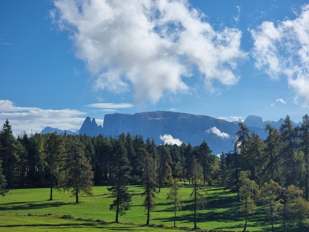 Paesaggi dolomitici: l'Alpe di Siusi e lo Sciliar