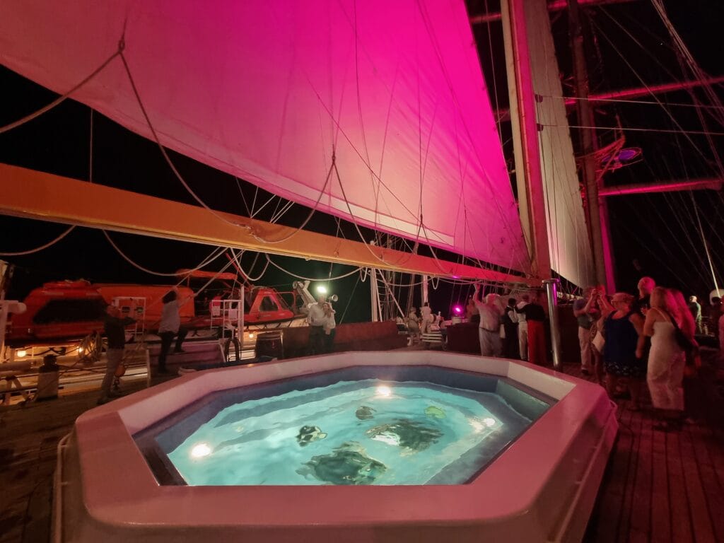 Star Flyer, lo spettacolo delle vele la sera