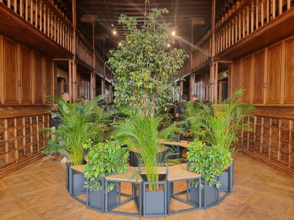 Il Padiglione del Portogallo a Palazzo Franchetti
