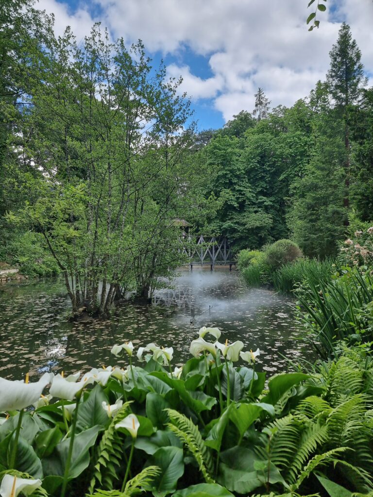 Il parco di Clos Lucé con l'effetto sfumato