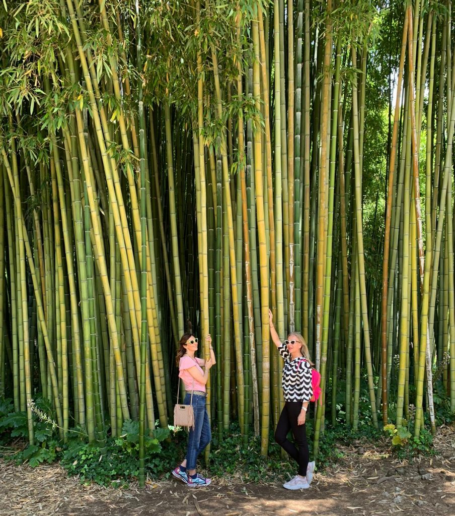 Giardino di Ninfa - Sorgente di Bambù