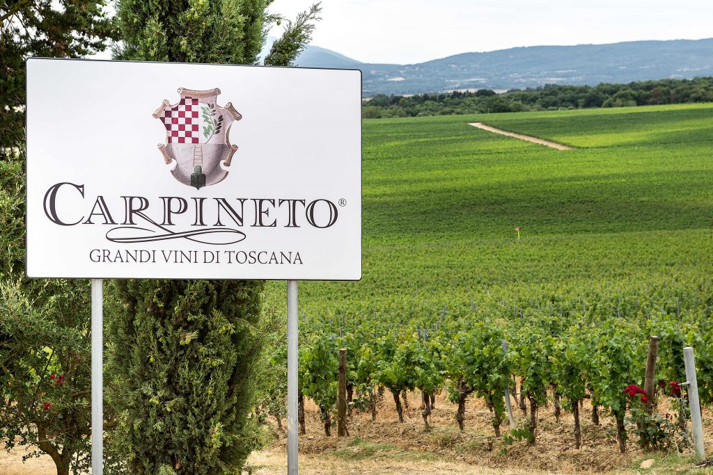 Toscana - Tenuta Carpineto a Montepulciano