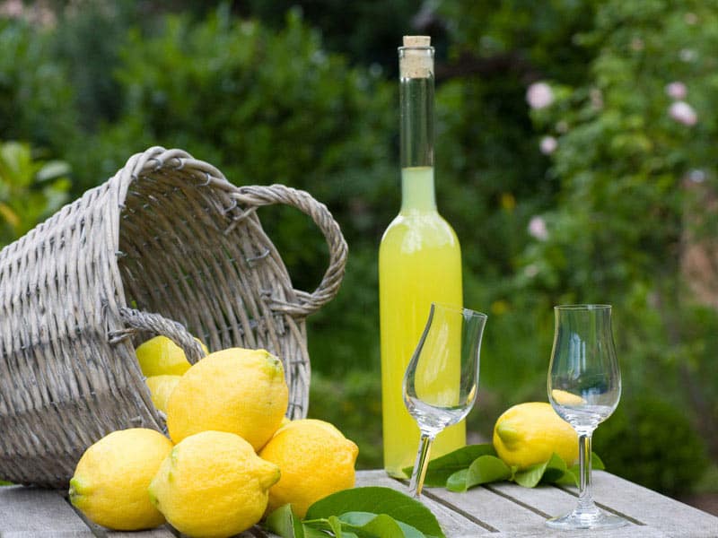 Penisola sorrentina - Limoncello di Sorrento