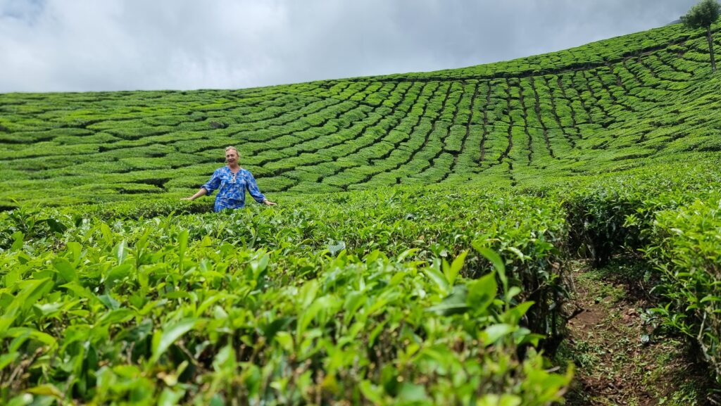 Piantagioni di tè a Munnar