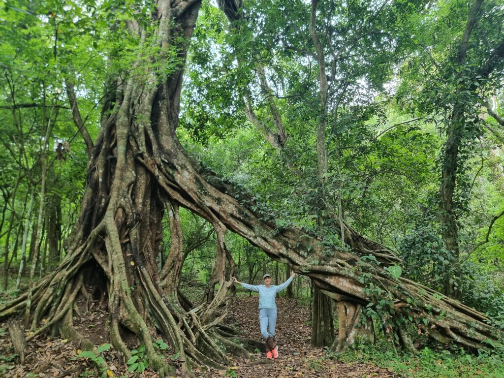 Trekking nel Periyar National Park