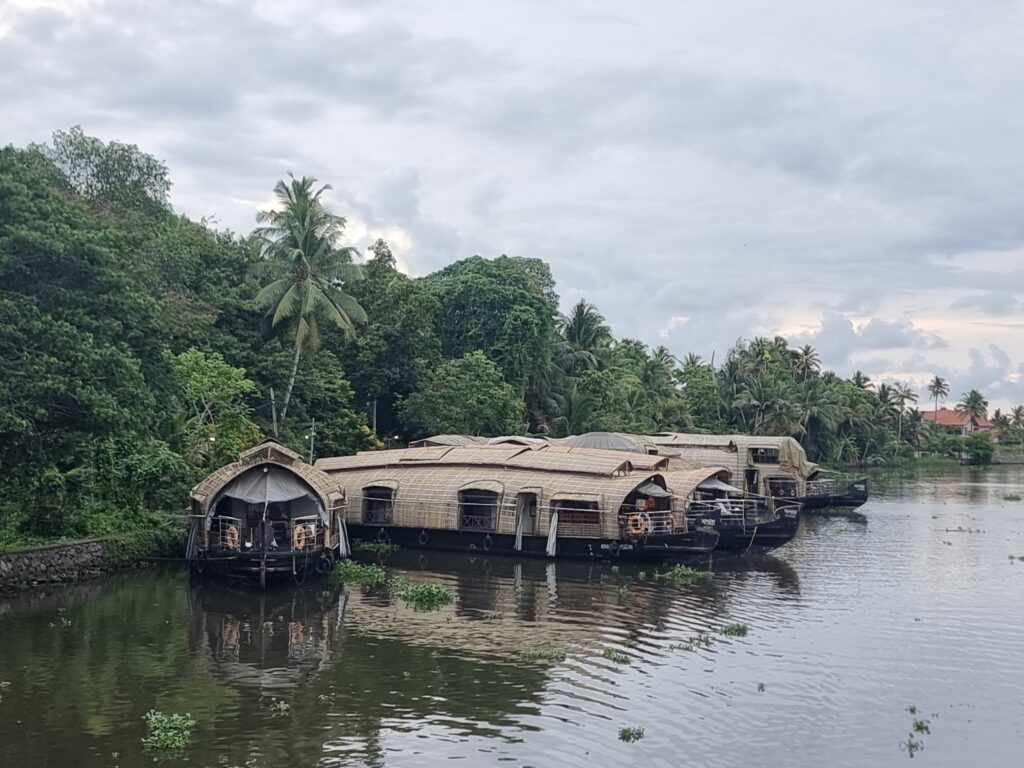 Houseboat nei backwaters di Thekkady