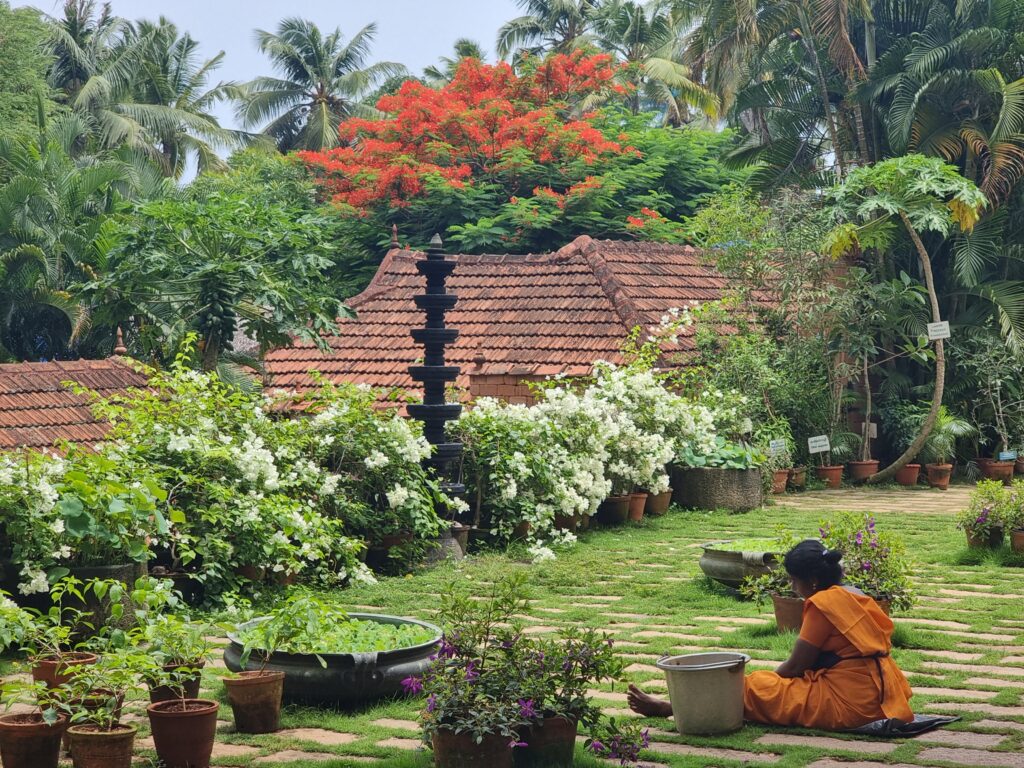 Il giardino del Villaggio con le piante mediche
