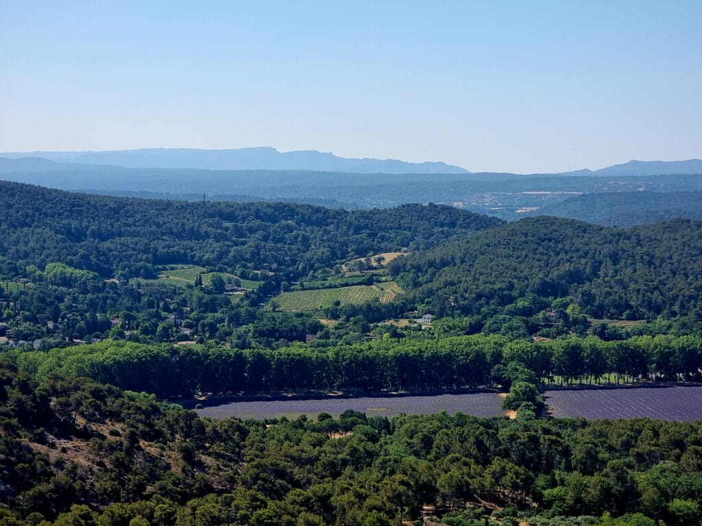 La campagna provenzale con i campi di lavanda in fiore