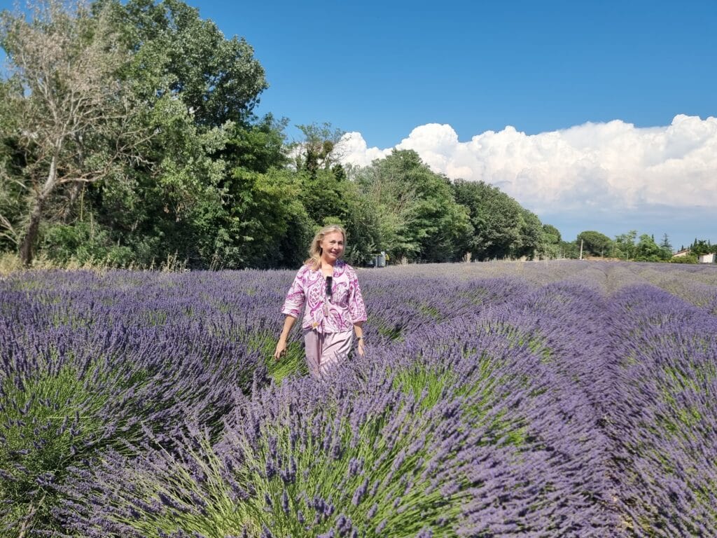 Campi di lavanda in Provenza