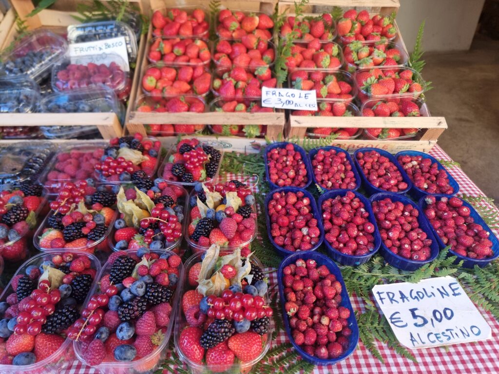 Le fragoline di Nemi