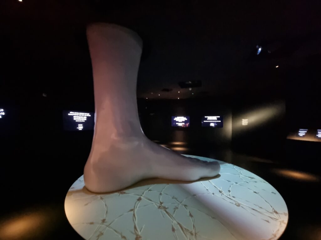 Il Museo della Croce Rossa a Ginevra