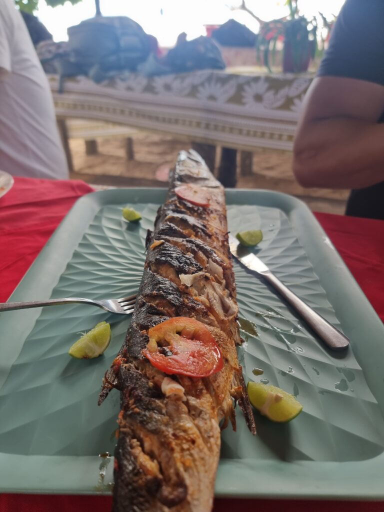 Barracuda alla griglia
