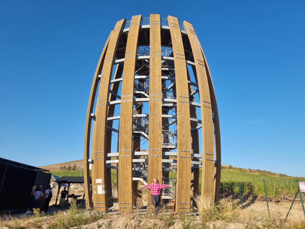 Tra i vigneti del Tokaj slovacco