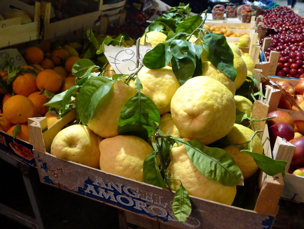 I famosi limoni di Sorrento IGP (courtesy)
